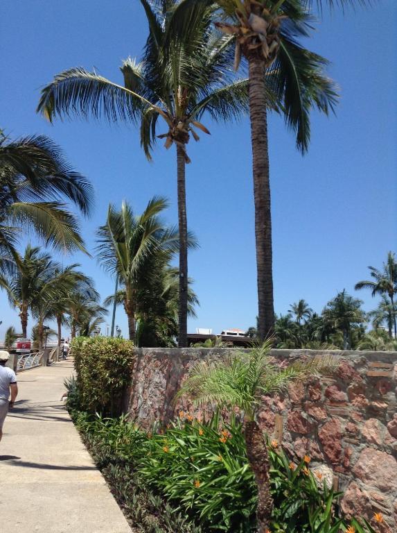 Molino De Agua Otel Puerto Vallarta Dış mekan fotoğraf